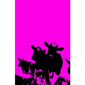 画像: 　　MODERN ART（モダンアート） 1893-PIK